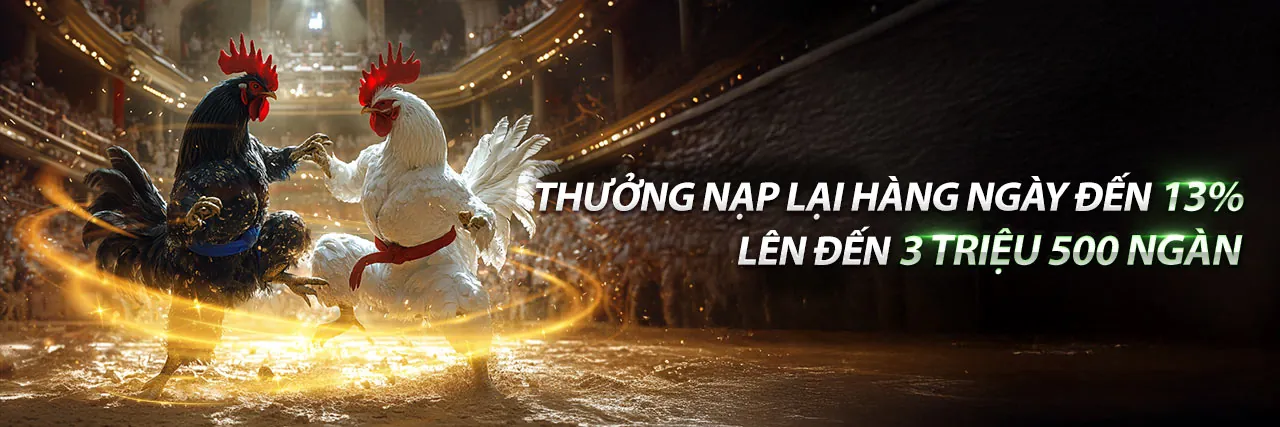 Đá Gà Trực Tuyến Hấp Dẫn tại go8 news