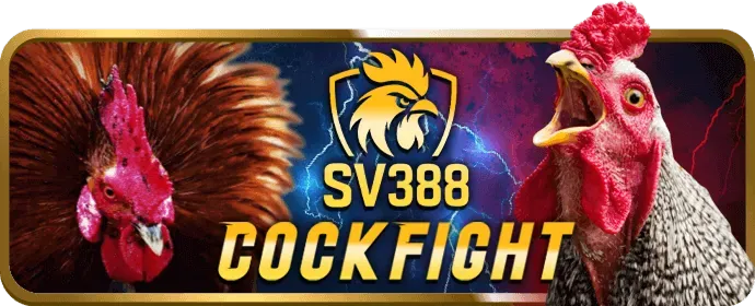 Cập nhật game bài và nổ hũ mới nhất tại Go8